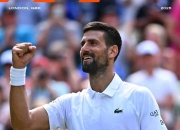 -包含意大利网球队血洗法国网球队，德约科维奇统治全场的词条