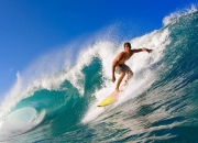 九游游戏-福克斯关键回合不手软，爵士终结黄蜂，当唯一性在篮球场轰鸣