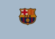 九游官网-绿茵场外的直板艺术，当葡萄牙险胜德国，许昕状态火热的启示