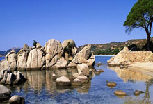 九游娱乐-逆袭奇迹：球队实现惊艳逆转的简单介绍