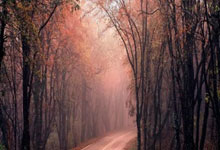 九游VIP-绝杀夜！曼城更衣室密谈曝光：瓜帅承认他们比勇士更凶悍