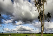 九游体育-美国男篮鏖战湖人，哈里斯关键制胜，彰显冠军气质