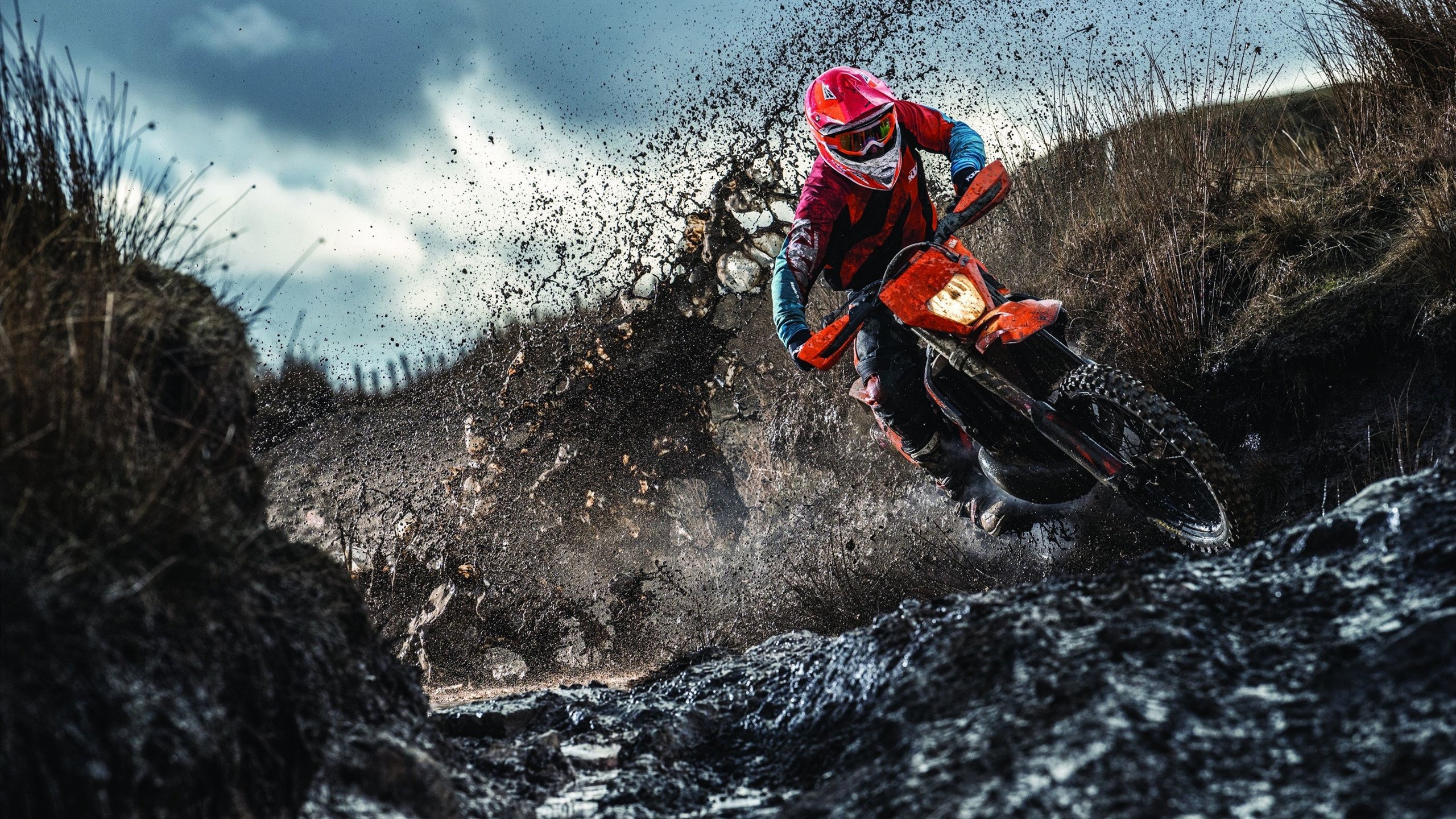 凯尔特人战术打穿上海队防线，字母哥关键先生本色尽显