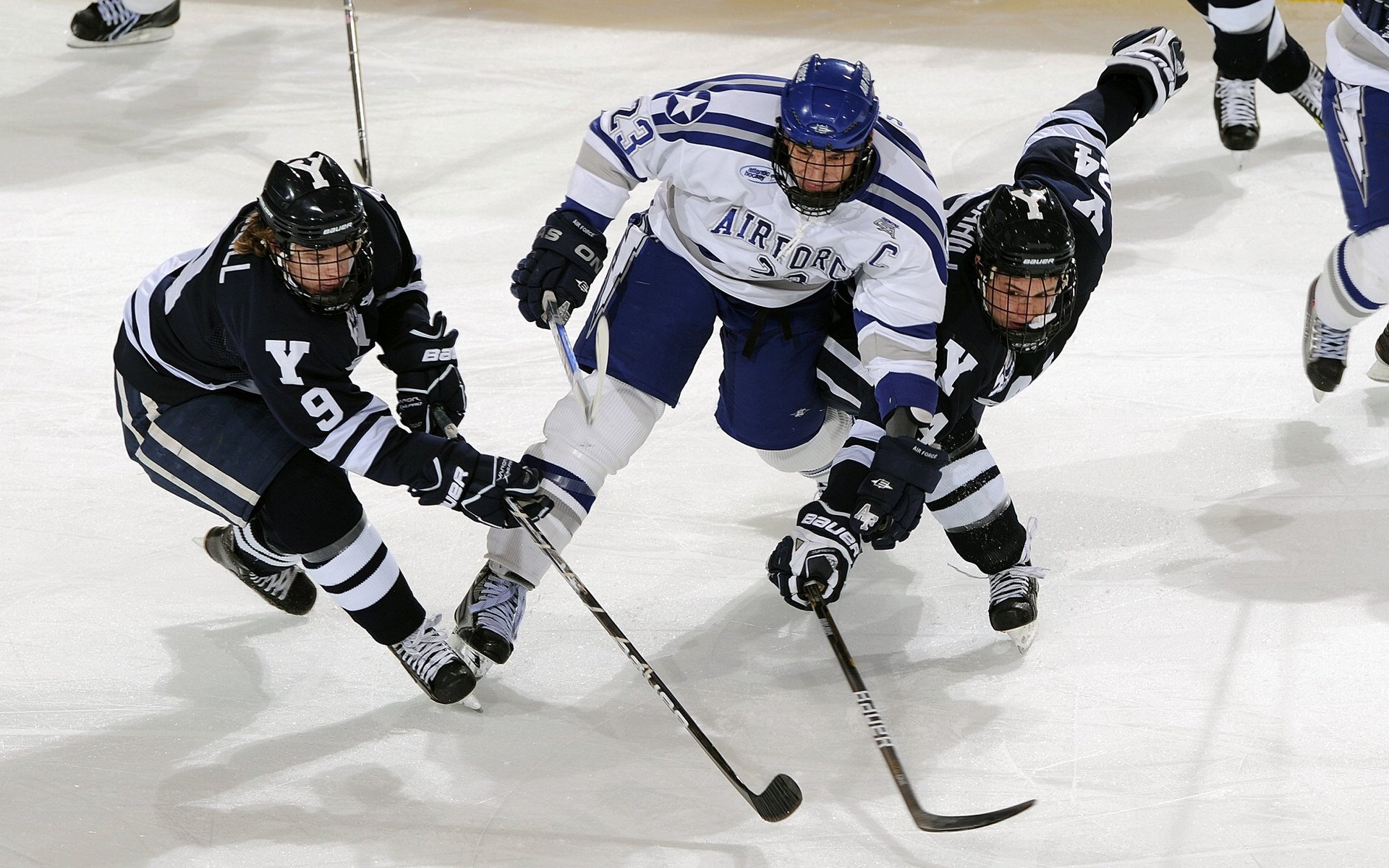 黄蜂鏖战国王,霍勒迪成为关键先生
